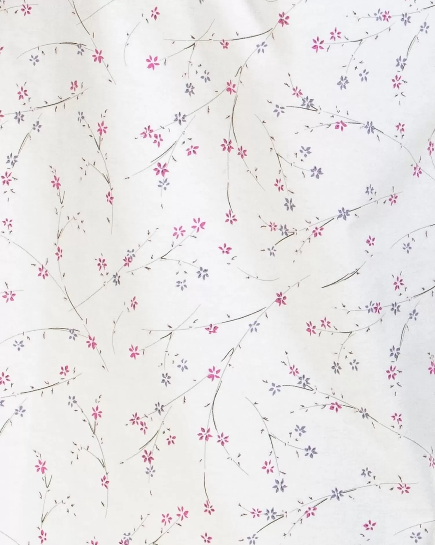 Sue Marks Pyjamas | Floral Brushed Cotton Pyjamas - Ivory
