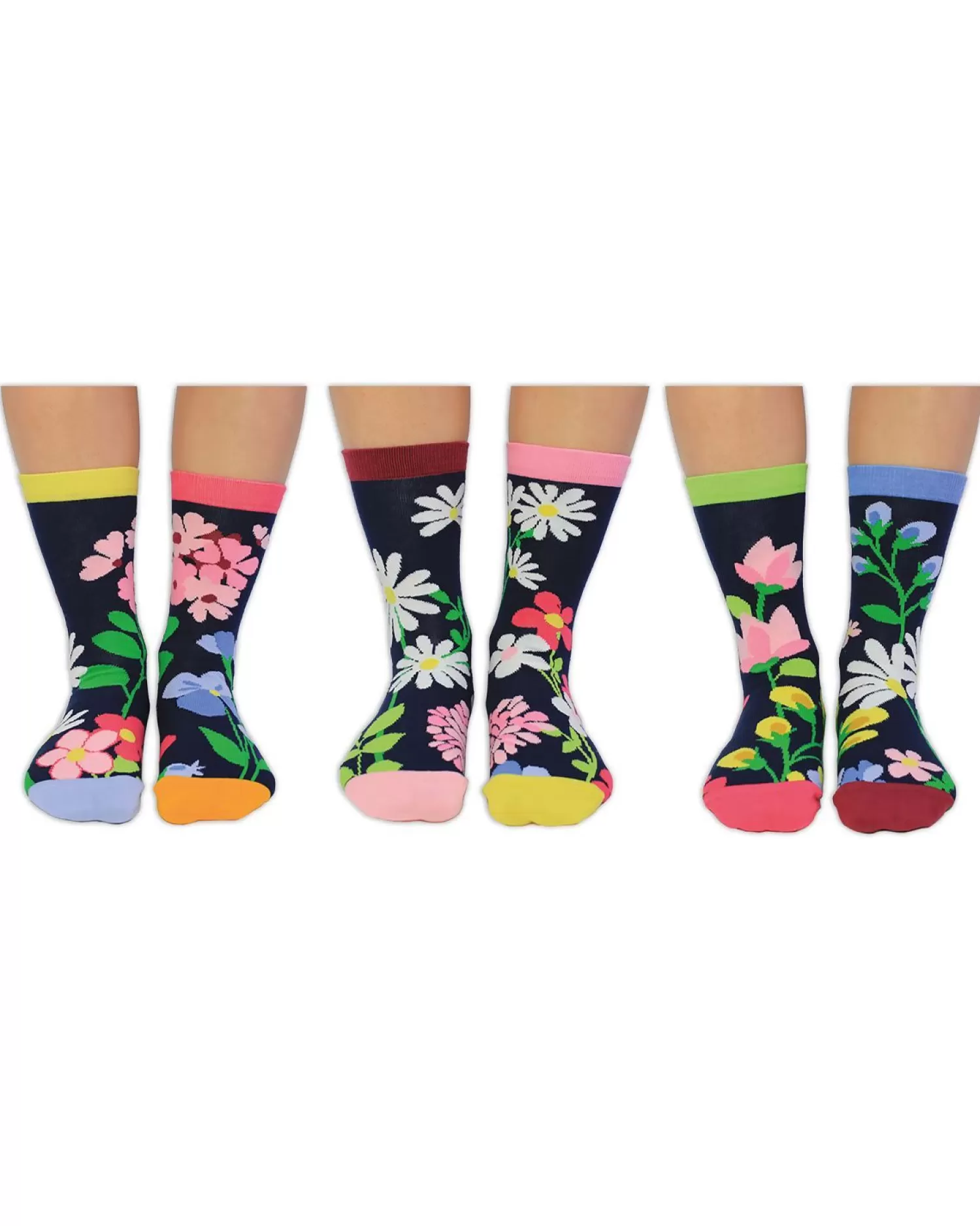 United Oddsocks Socks | Blooming Amazing Socks Gift Box