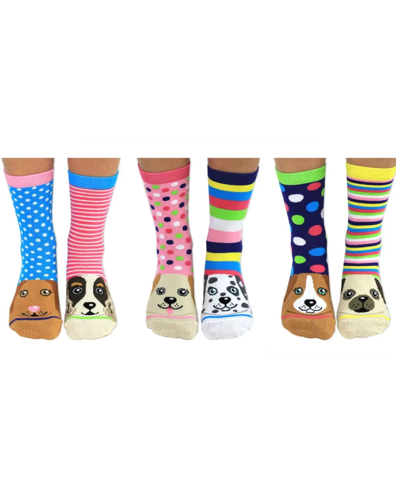 United Oddsocks Socks | Pawsome Socks Gift Box